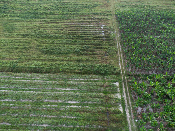 aerial scene of looking down the countryside gravel road.