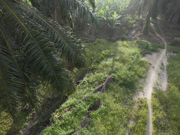 Aerial Scene Looking Countryside Gravel Road — Stockfoto