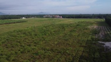 aerial scene around the uncultivated farmland 