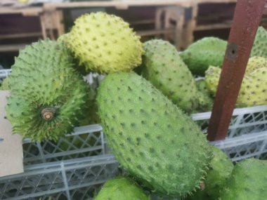 Sepette bir yığın meyve var.