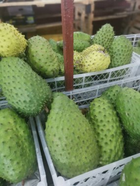 Sepette bir yığın meyve var.