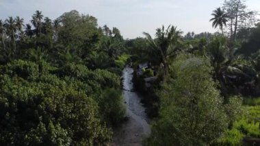 Ahşap köy evi yabani toprağın etrafını sardı.