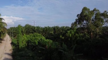 Terk edilmiş eski evin havadan çekilmiş görüntüsü.