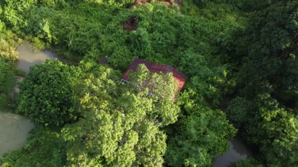 Escena Aérea Vieja Casa Abandonada Dentro Los Arbustos — Vídeos de Stock