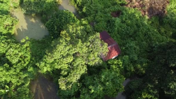 Escena Aérea Vieja Casa Abandonada Dentro Los Arbustos — Vídeos de Stock
