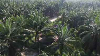 Issız bir çiftlikteki terk edilmiş kulübede.