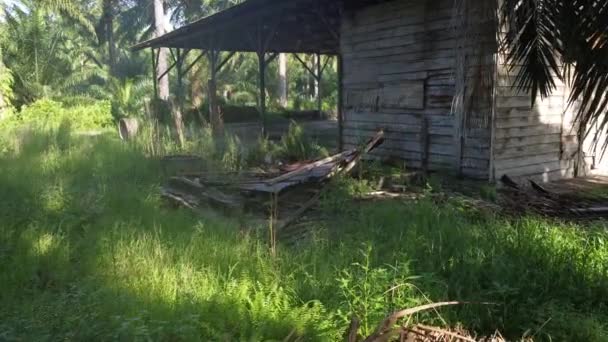 孤零零的种植园里被遗弃的旧棚屋 — 图库视频影像