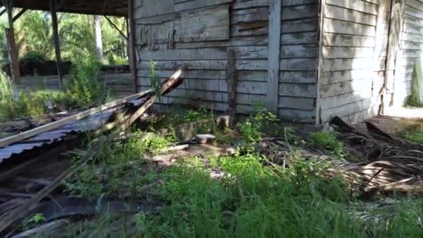 Der Alte Verlassene Schuppen Der Isolierten Plantage — Stockvideo