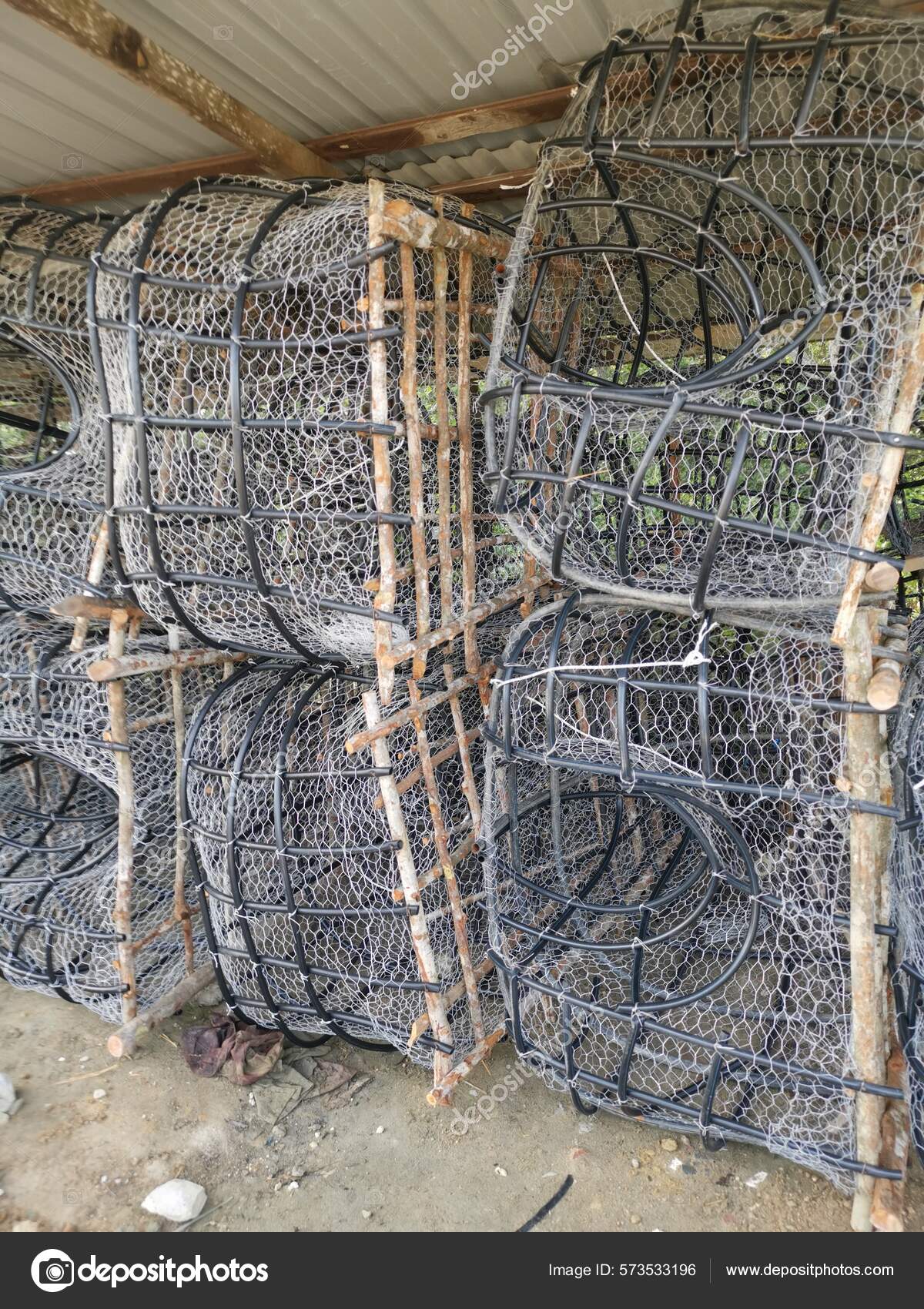 Scene Diy Fish Trap Structure Make Mangrove Wood Wire Polystyrene Stock  Photo by ©sweemingyoung 573533196