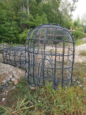 Mangrov ağacı, tel ve polistiren borulardan yapılan DIY balık kapanı yapısı..