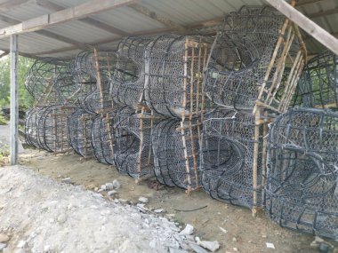 Mangrov ağacı, tel ve polistiren borulardan yapılan DIY balık kapanı yapısı..