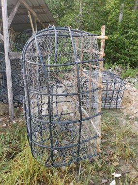 Mangrov ağacı, tel ve polistiren borulardan yapılan DIY balık kapanı yapısı..