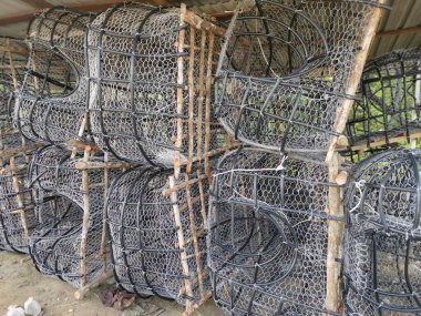 Mangrov ağacı, tel ve polistiren borulardan yapılan DIY balık kapanı yapısı..