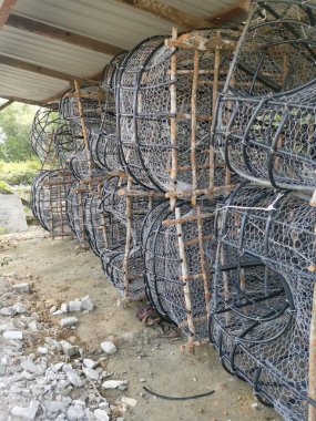 Mangrov ağacı, tel ve polistiren borulardan yapılan DIY balık kapanı yapısı..