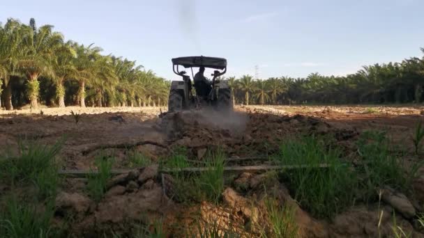 Perak Malezja Maja 2022 Zapis Człowieka Prowadzącego Traktor Orającego Pustą — Wideo stockowe