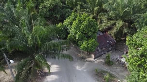 Une Maison Bois Abandonnée Avec Toit Zinc Corrodé — Video