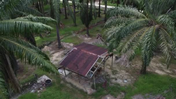 亜鉛の屋根だけが腐食した放棄された木の小屋 — ストック動画