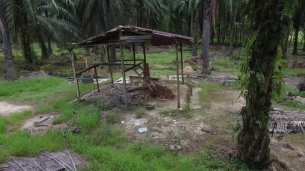 Ein Verlassener Holzschuppen Mit Nur Korrodiertem Zinkdach — Stockvideo