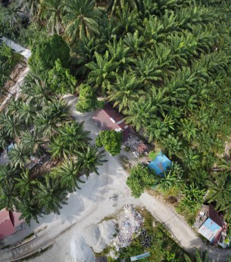 Aşınmış çinko çatılı terk edilmiş ahşap bir evin panoramik manzarası