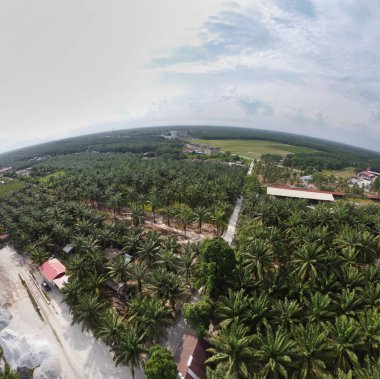 Aşınmış çinko çatılı terk edilmiş ahşap bir evin panoramik manzarası