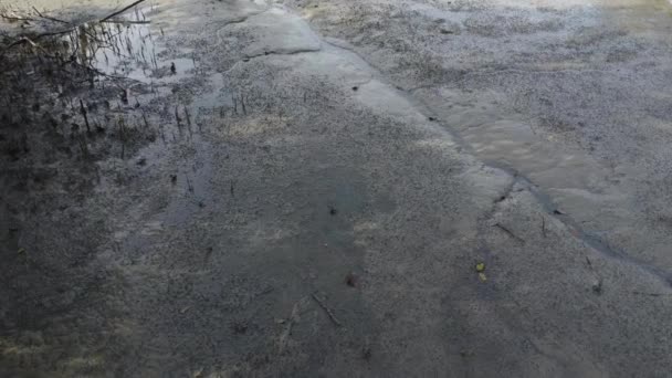 Scena Aerea Intorno Alla Spiaggia Del Porto Pesca Del Villaggio — Video Stock