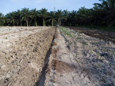 Traktörün boş araziyi sürdüğü hava sahnesi.