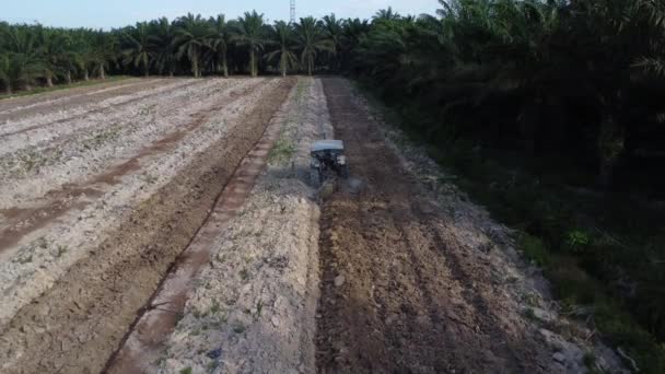 Pérák Malajsie Května 2022 Letecká Scéna Traktoru Orajícího Neobsazenou Zemědělskou — Stock video