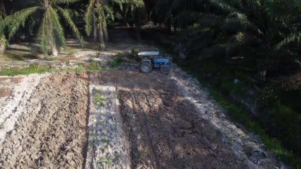 Perak Malaisie Mai 2022 Scène Aérienne Tracteur Labourant Les Terres — Video