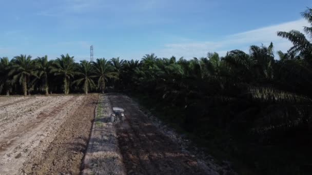 マレーシアのパーク 2022年5月26日 カンポン島民間農園におけるパーム油栽培のために空地を耕すトラクターの空中風景 — ストック動画