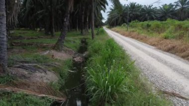 Çiftliğin yanındaki yol kenarındaki kırsal drenaj sistemi.