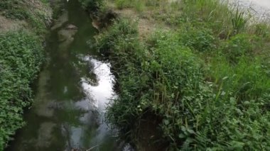 Çiftliğin yanındaki yol kenarındaki kırsal drenaj sistemi.
