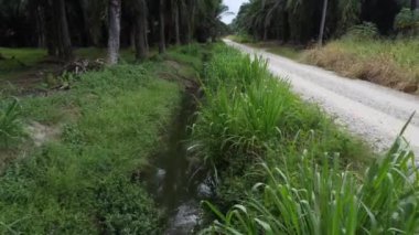 Çiftliğin yanındaki yol kenarındaki kırsal drenaj sistemi.