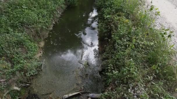 沿着种植园路边的农村排水系统 — 图库视频影像