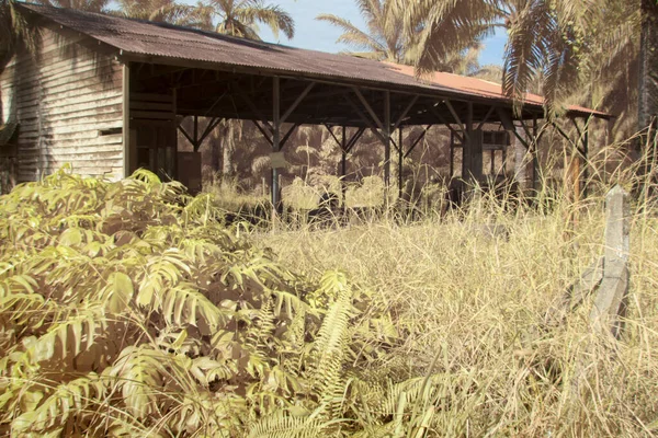 Scène Image Infrarouge Une Maison Négligée Dans Plantation — Photo