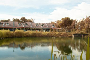 infrared image scene of foliage around the residence lake.