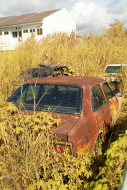 Çalılıklarda terk edilmiş aracın kızılötesi görüntüsü.