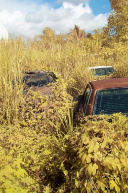 Çalılıklarda terk edilmiş aracın kızılötesi görüntüsü.