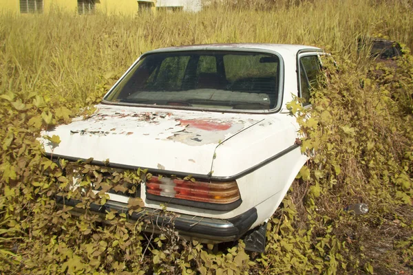 Infrared Image Scene Abandoned Vehicle Bushes — 스톡 사진