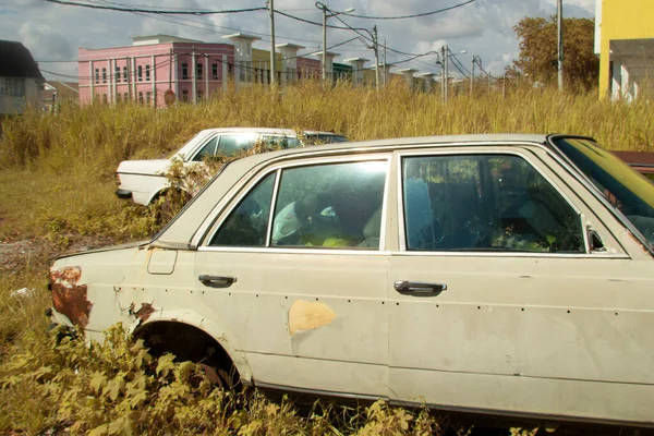 Infrared Image Scene Abandoned Vehicle Bushes — 图库照片