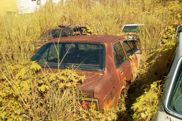 Infrared Image Scene Abandoned Vehicle Bushes — Stockfoto