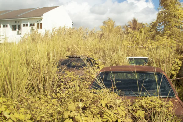 Infrared Image Scene Abandoned Vehicle Bushes — Stock fotografie