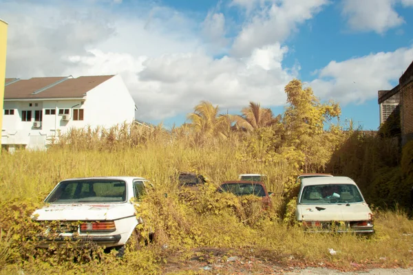 Infrared Image Scene Abandoned Vehicle Bushes — 图库照片