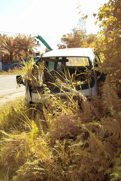 Infrared Image Scene Abandoned Vehicle Bushes — Photo