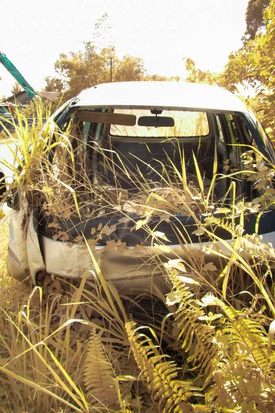 Infrared Image Scene Abandoned Vehicle Bushes — Stockfoto