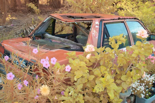 Infrared Image Scene Abandoned Vehicle Bushes — Photo