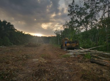Traktörün sabahın erken saatlerinde boş araziye bırakıldığı sahne.