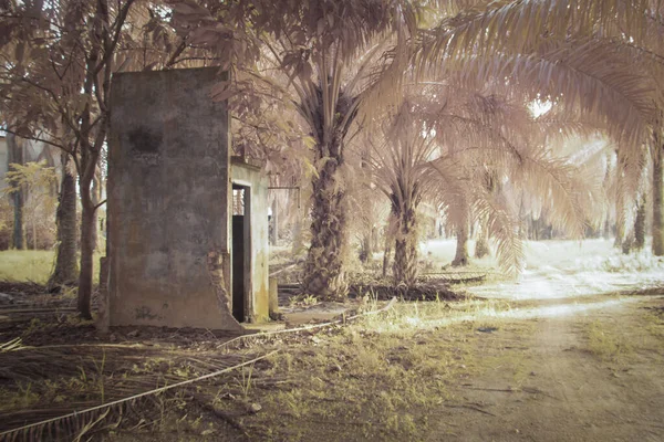 Infrared Image Nostalgic Outdoor Asian Rural Bathroom — Stock Photo, Image