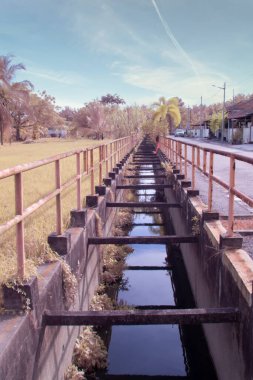 Banliyödeki konutun etrafındaki yeşilliklerin kızılötesi görüntüsü