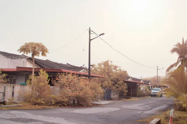 Cena Imagem Infravermelha Folhagem Torno Residência Suburbana — Fotografia de Stock