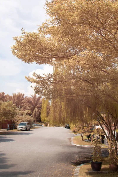 Infrared Image Scene Foliage Suburban Residence — Stok fotoğraf